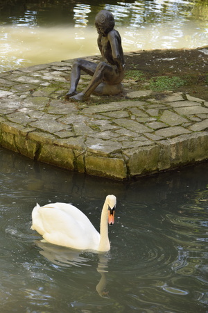 Image-preview_300x200