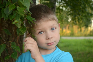 Image-preview_300x200