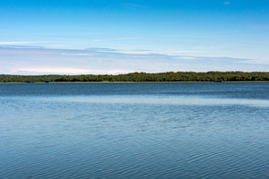 Image-preview_300x200