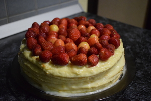 Image-preview_300x200