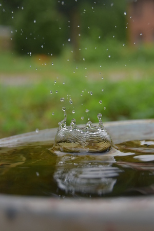 Image-preview_300x200