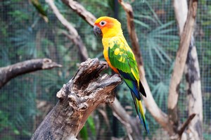 Image-preview_300x200