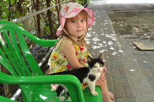 Image-preview_300x200