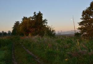 Image-preview_300x200