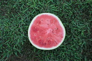 Image-preview_300x200