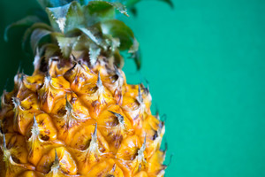 Image-preview_300x200