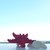 Image-square_50