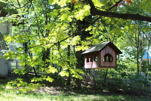 Image-preview_300x200