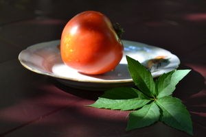 Image-preview_300x200