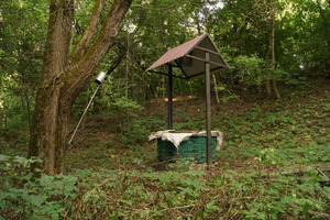 Image-preview_300x200