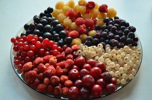 Image-preview_300x200