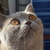 Image-square_50