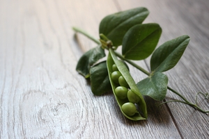 Image-preview_300x200