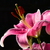 Image-square_50