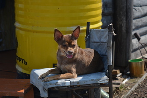 Image-preview_300x200