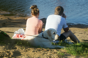 Image-preview_300x200