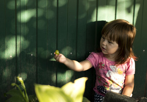 Image-preview_300x200