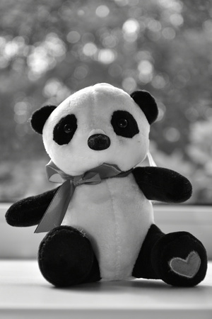 Image-preview_300x200