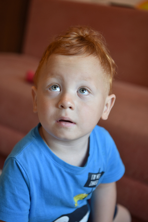 Image-preview_300x200