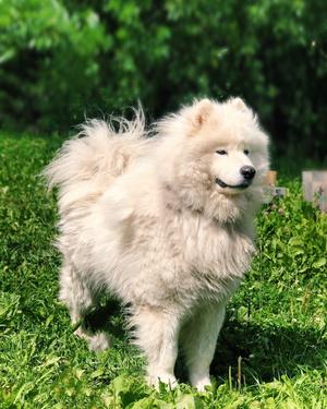 Image-preview_300x200