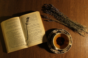 Image-preview_300x200