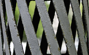 Image-preview_300x200