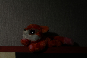 Image-preview_300x200