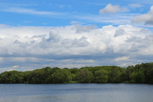 Image-preview_300x200