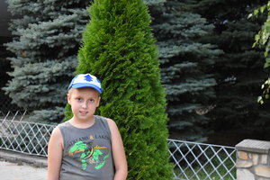 Image-preview_300x200