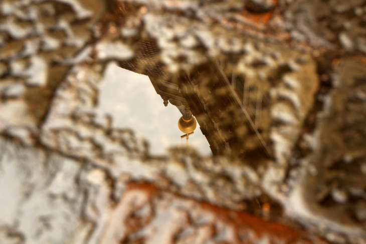 Image-normal