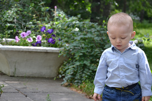 Image-preview_300x200