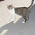 Image-square_50