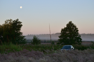 Image-preview_300x200