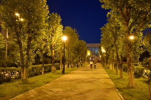 Image-preview_300x200