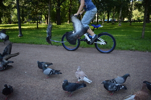 Image-preview_300x200