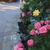 Image-square_50