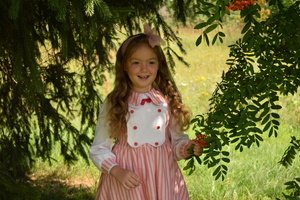 Image-preview_300x200