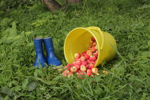 Image-preview_300x200