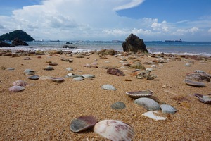 Image-preview_300x200