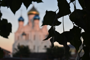 Image-preview_300x200