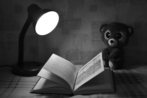 Image-preview_300x200