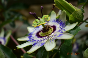 Image-preview_300x200