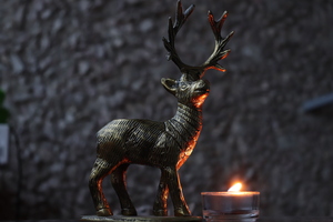 Image-preview_300x200