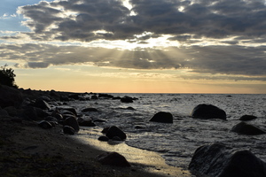 Image-preview_300x200