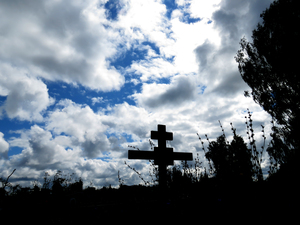 Image-preview_300x200