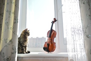 Image-preview_300x200