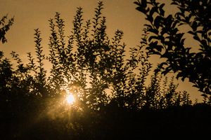 Image-preview_300x200