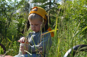 Image-preview_300x200