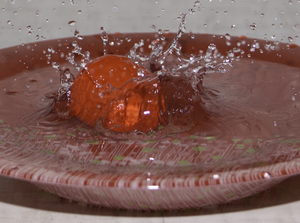 Image-preview_300x200