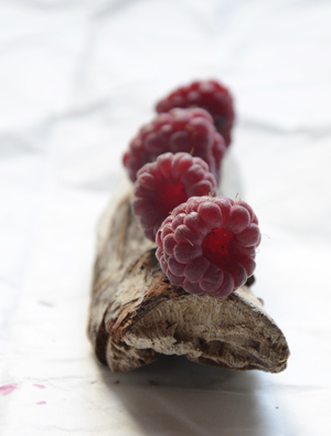 Image-preview_300x200